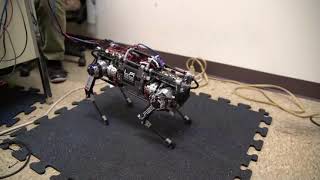 ICRA19: MPC on the quadruped robot Panther