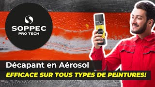 Décapant Peintures SOPPEC PRO TECH | Décapant Multisupport pour Tous Types de Peintures