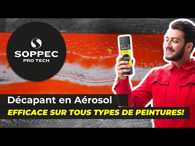 Décapant Peinture - PRO TECH