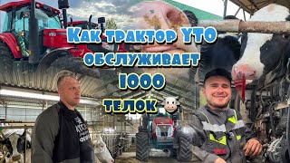 картинка: Стальное сердце фермы: как YTO кормят тысячи коров