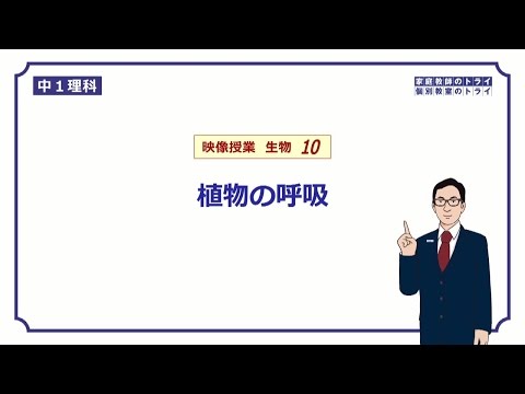 【中１　理科　生物】　植物の呼吸と光合成の関係　（１４分）