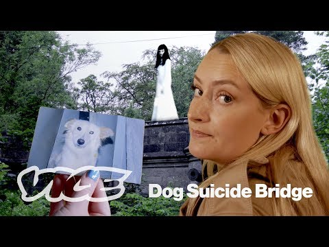 Video: Mysterious Phenomenon: Hunting For Suicide, 600 Dogs Jumped From The Bridge - Alternative View