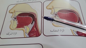 مخرج حرف الراء#المصحف #تجويد #ترند #حروف #لايك