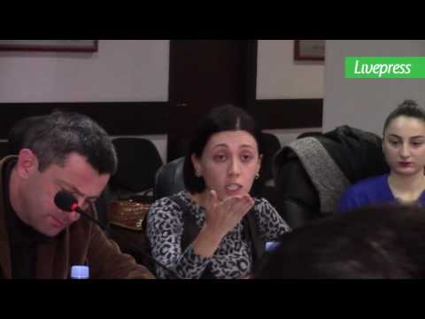 დაპირისპირება საკრებულოში გულუას პარკზე