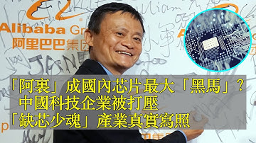 為什麼“阿里”成国内芯片最大“黑马”？中国科技企业被打压“缺芯少魂”产业真实写照｜阿里｜中芯国际｜大疆｜科技圈｜水电｜云计算｜