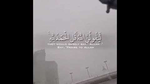 تلاوة رائعة | عبدالرحمن مسعد
