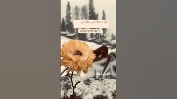 قَالَ لَا تَخَافَا ۖ إِنَّنِي مَعَكُمَا أَسْمَعُ وَأَرَىٰ (46) سورة طه #سورة_طه