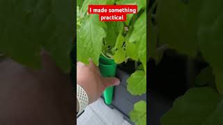 I kept watering the floor and not the plant ... 3d printer to the rescue #3dmodeling #3dprinting