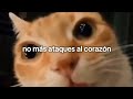 DPR Ian - Scaredy Cat (sub. español)