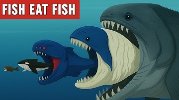 FISH EAT FISH | Bloop vs Sea Eater - Ultimate Sea Monster Showdown!