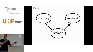 The dynamics of memory – decoding brain activity with machine learning