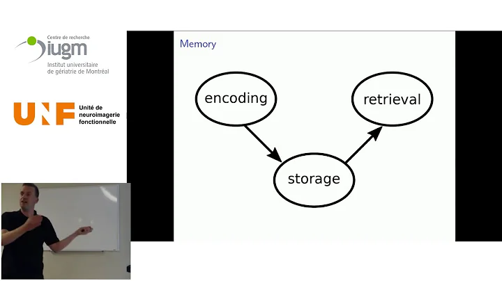 The dynamics of memory – decoding brain activity with machine learning