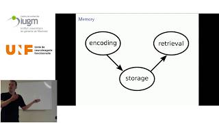 The dynamics of memory – decoding brain activity with machine learning Net Worth