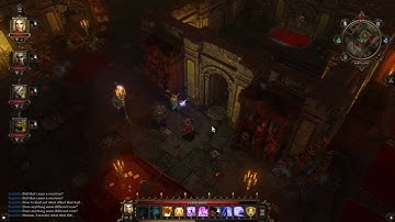 Divinity Original Sin - IMMACULATE