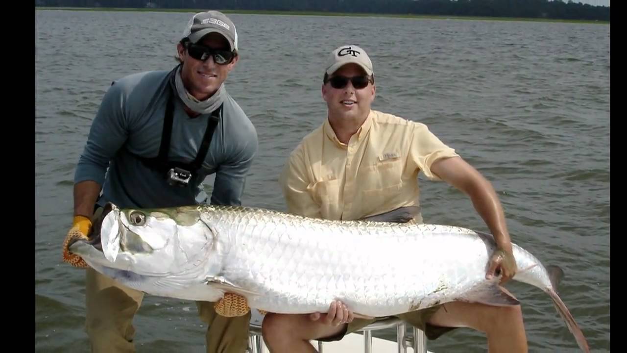 Hilton Head Island Sc Fishing Report Hilton Head Island Sc Fishing Report