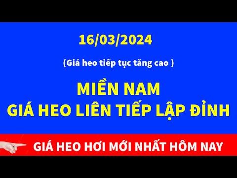 Gía heo hơi hôm nay ngày 16/3 