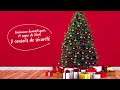 Conseils pour assurer la sécurité des animaux avec le sapin de Noël 🐈🎄