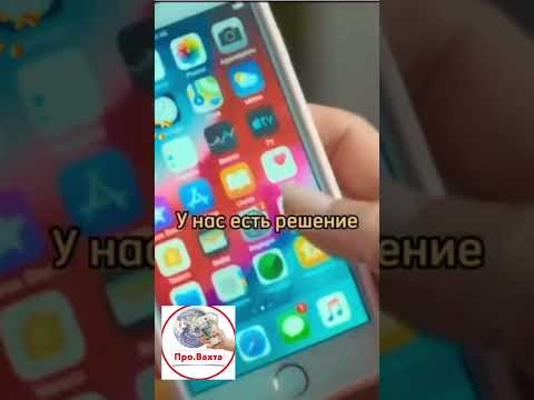 Каждый день свежие