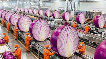 Inside the Largest U.S. Factory: How Millions of Tons of Onion Powder Are Made (Full Process)