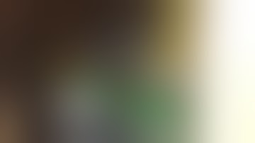 Antminer S9 and L3+ Antmuffler ® - Part 02