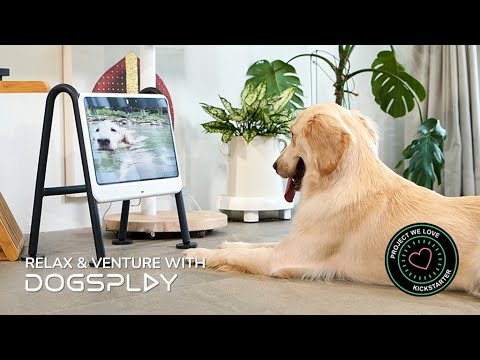 DOGSPLAY TV: The Ultimate Entertainment for Playful Pups