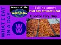 What i ate on ww freeze dry day today jan 10 2024