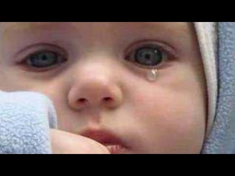 فارس حميده مقطع من انشوده العليل