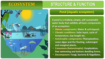 Ecosystem-productivity and decomposition presentation by Maria