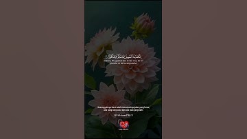 تلاوة خاشعة سورة الإنسان ٣ بصوت القارئ عثمان مشعل الحداد || makna surah AL-insan 3🌿📖❤️ othman mishal