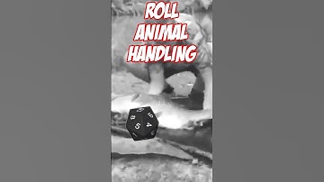 When You Roll A 1 On Animal Handling In D&D