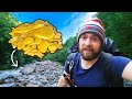 Camping in new zealand leads to gold discovery