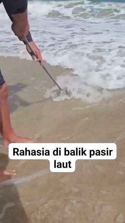 Cara menangkap yutuk atau undur2 laut #semuaorang #funny #youtuber