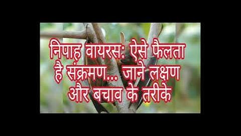 निपाह वायरस ऐसे फैलता है संक्रमण जाने लक्षण और बचाव के तरीके | Nipah Virus Symptoms