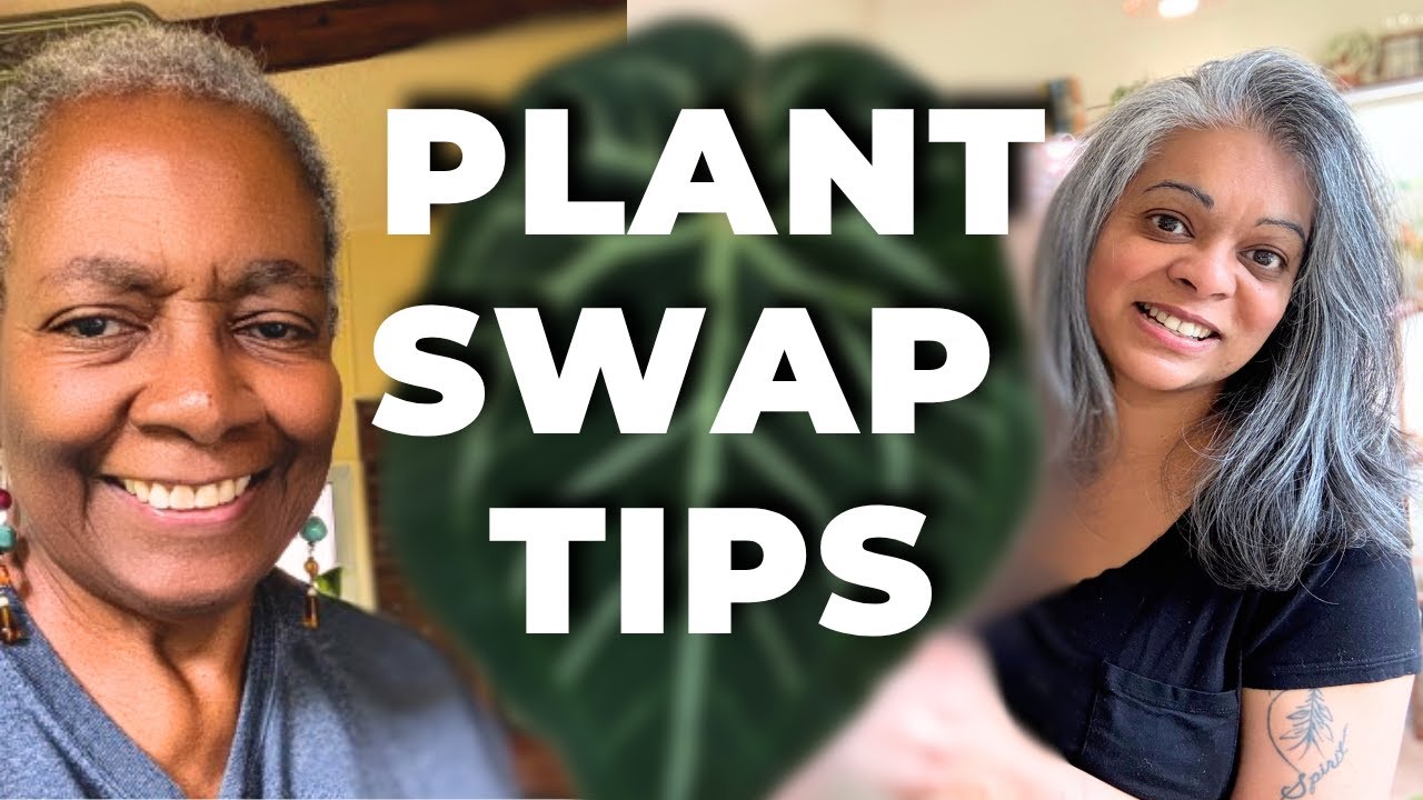 This Might Be Your Sign to Start a Plant Swap
