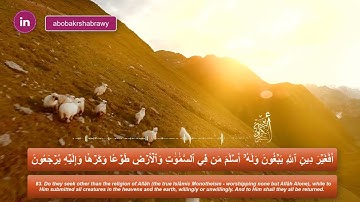 الربع 4|الحزب 6- بصوت أبو بكر الشبراوي (سورة آل عمران)من 75 الى92