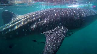 Pulau Aiduma Sebagai Potensi Wisata Wilayah Kodim 1804/Kaimana