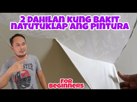Video: Pagpili ng mabisang pangtanggal ng wallpaper