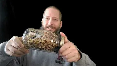 Microgreens