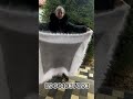 Платок Арафат мягкий , теплый очень красивый