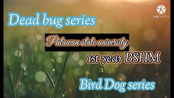 Dead bug series I Bird dog series I Non-locomotor movements 🧍Day 1