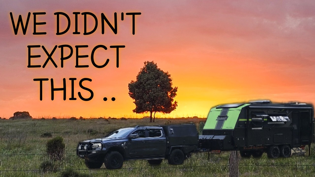 We didn't expect this in the Bunya Mountains ... Caravan Life Australia