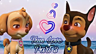 Chase x Skye~True Love Part 3💖💙🐾