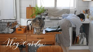 видео: Переезд и дом, похожий на меня / Как организовать кухню картинка: Переезд и дом, похожий на меня / Как организовать кухню