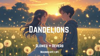 Dandelions – Ruth B. | Slowed Reverb | Romantic Love Song