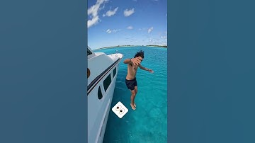 Thumbnail of Didn’t see the Shark Until After We Jumped! #shorts