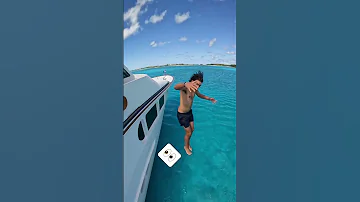 Didn T See The Shark Until After We Jumped Shorts 
