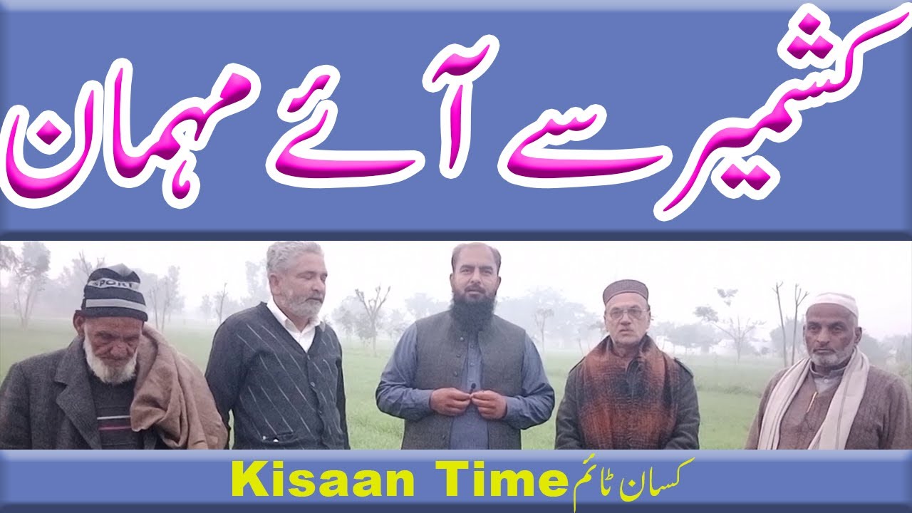 Guests from kashmir کشمیر سے آئے مہمانkisan time کسان ٹائم