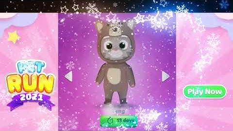 Pet runner - Cat run games