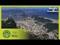 The South-East | Brazil&#39;s Coastlines 4/5 | Go Wild