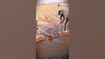 a simple smart tool that is useful for opening rice field irrigation #shorts